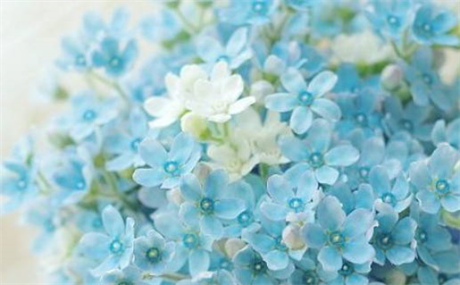 在线免费取名工具助你轻松找到完美名字