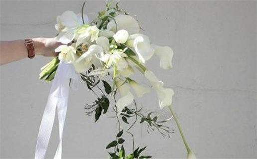 1990的马是什么命(1990的马是什么命五行属什么)