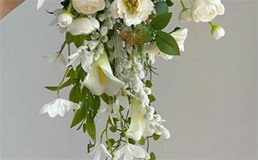 2016年出生的人是什么命_2016年出生的人是什么命?