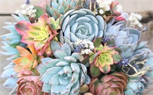 5月份结婚黄道吉日_5月份结婚黄道吉日查询