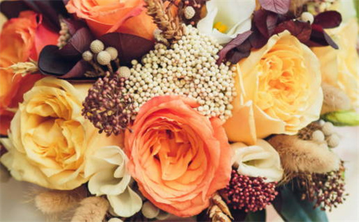 2018属狗的人命运解析与性格特点分析