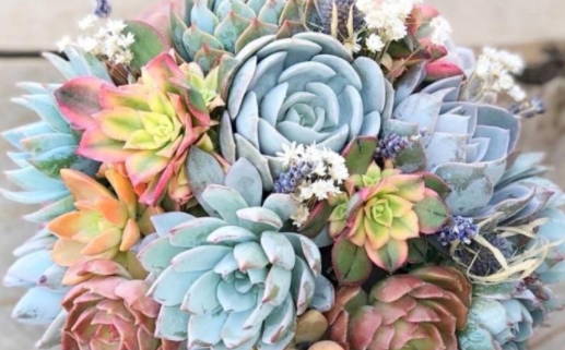 91年12月的羊是什么命(91年12月的羊是什么命 五行属什么)