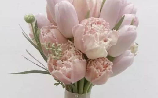 1978年出生的人命运解析与人生特征揭秘