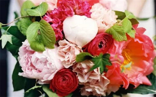 外国女人名字的魅力与文化背景解析