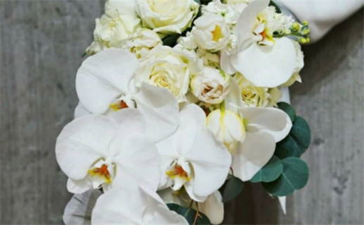 2000年是什么命年_2000年是什么命年?