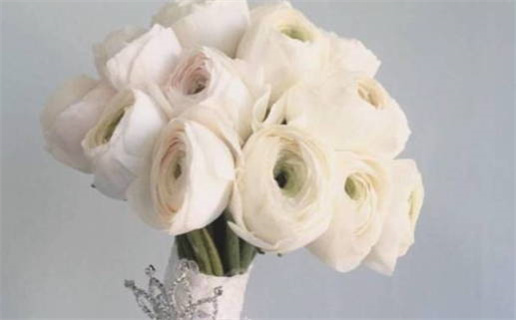 96年出生的鼠是什么命_96年出生的鼠是什么命,婚姻怎样