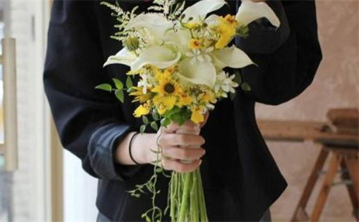 相依为命动物揭秘深情伴侣与忠诚伙伴探秘