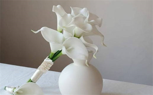 2017年属猴是什么命(2017年属猴是什么命五行)