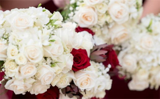 七八年马的命运分析与生肖解读