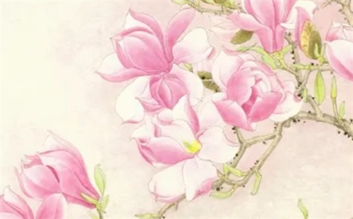 今日2027年01月30日破土老黄历不适宜吗,农历二〇二六年腊月廿三动土日子