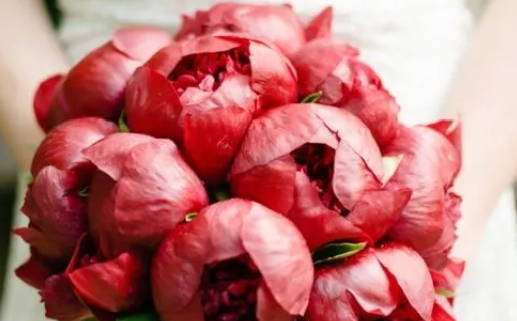 今天农历二〇二六年腊月初九黄历举办婚礼不适宜吗,结婚吉日