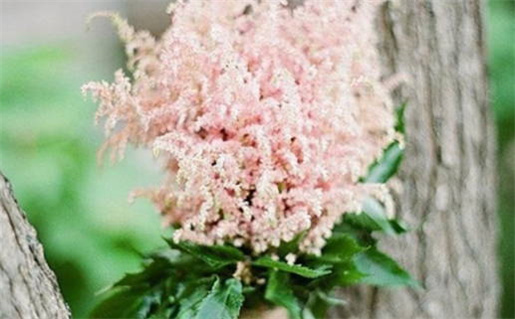 2026年4月28日领证不宜，详解农历三月十二的宜忌事项