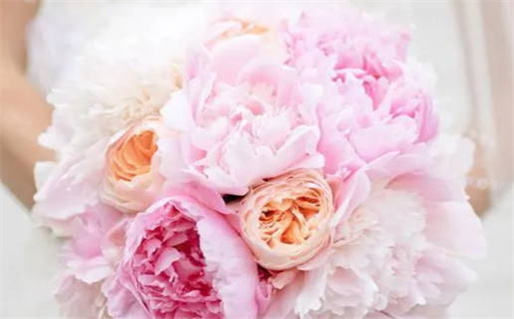 今日万年历2027年08月04日办证吉日,领证好日子查询