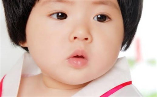 高姓男孩子取名