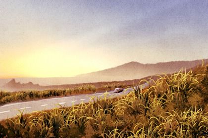 农历二〇二六年四月廿三黄历不适宜提取座驾吗,提车好日子有哪些