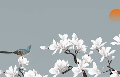 2027年12月31日不适宜装修吗,装修吉日查询